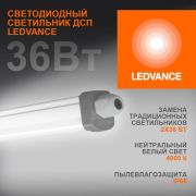 Светильник светодиодный Eco Class Damp Proof Slim 36Вт 4000К IP65 3700лм 1.2м ДСП промышленный накладной/п...